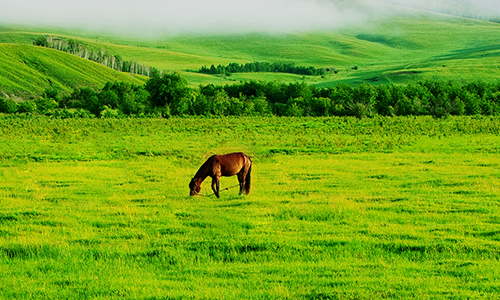 《新京报》——自闭症大学生找到工作是一个好的开始